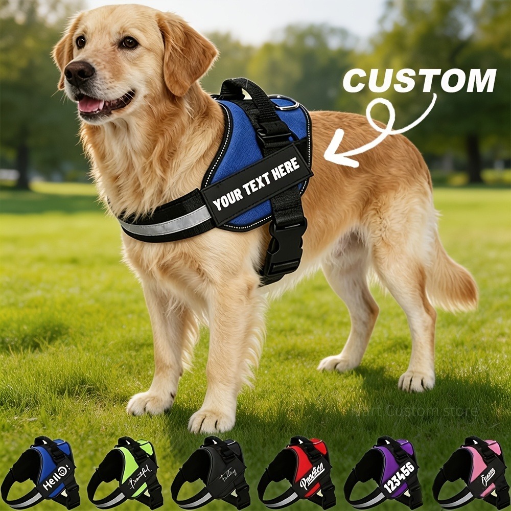 Outdoor Adventure Names - Personalized No-Pull Dog Harness with Name